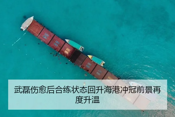 武磊伤愈后合练状态回升海港冲冠前景再度升温